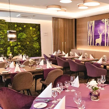 Merkur Hotel